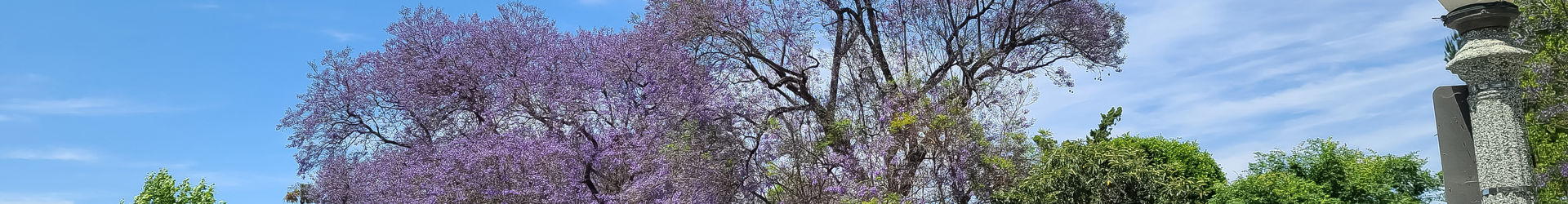 Sherman Oaks Shutterstock