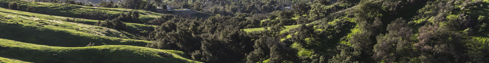 West Hills Ca Shutterstock 252445948